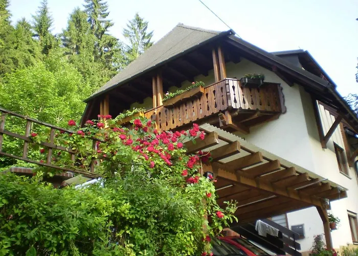 Apartmán Haus Am Bach Freiburg im Breisgau